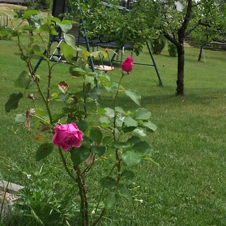 דירה Valant Id I00070 *