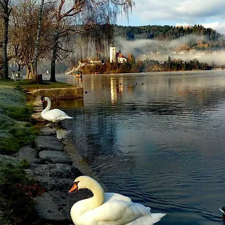 Valant Id I00070 Apartma Bled