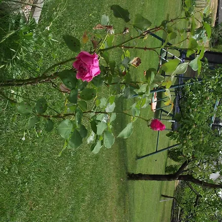 Valant Id I00070 Apartma