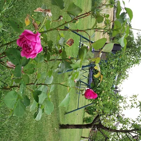 Valant Id I00070 * Bled