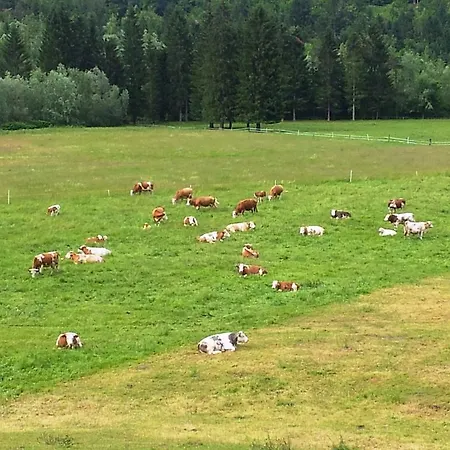 Apartma Valant Id I00070 *