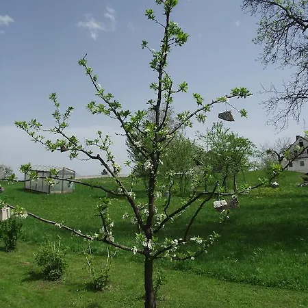 شقة Valant Id I00070 *