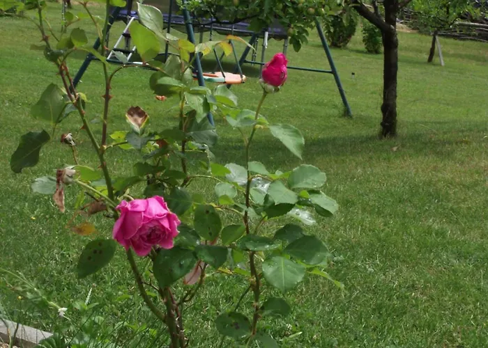 公寓 Valant Id I00070 *