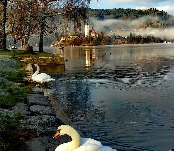 Valant Id I00070 公寓 布莱德