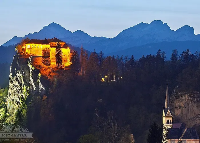 Valant Id I00070 * 布莱德