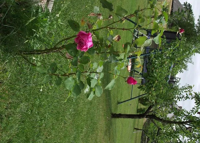 Valant Id I00070 公寓