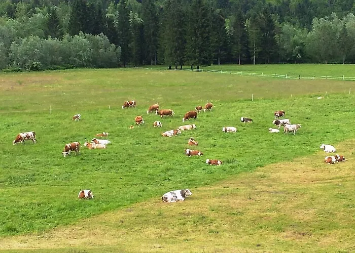 公寓 Valant Id I00070 *