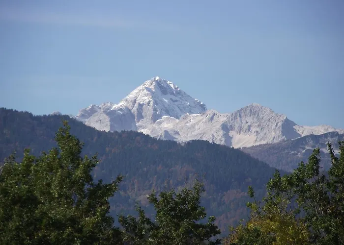 公寓 Valant Id I00070 *