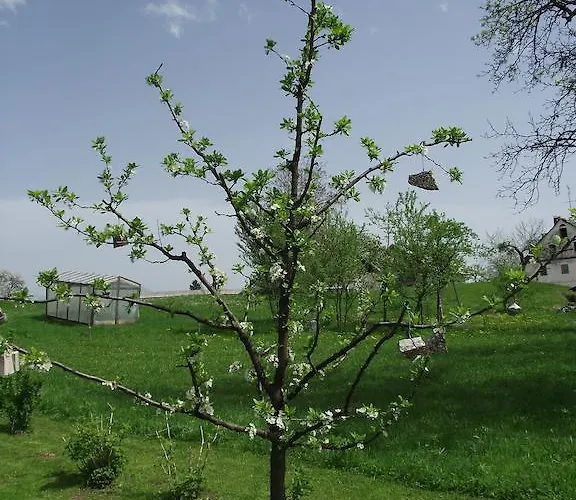 公寓 Valant Id I00070 *