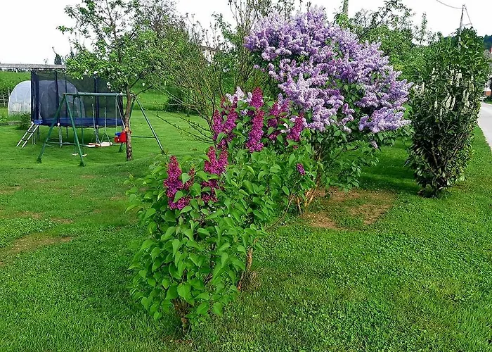 Valant Id I00070 * 布莱德